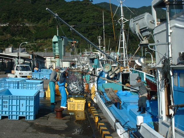 賑わう港での新鮮な海産物の荷揚げ